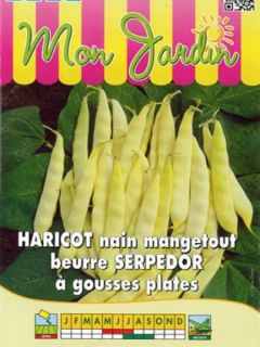 Haricot nain beurre 'Serpedor'