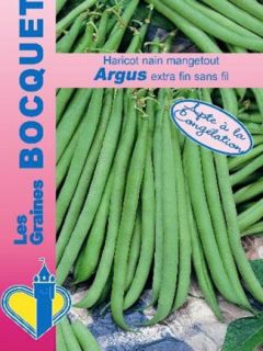 Haricot nain mangetout 'Argus'