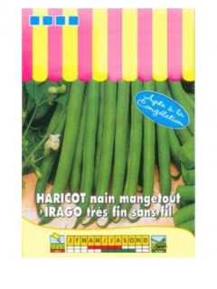 Haricot nain mangetout 'Irago'