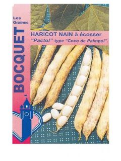 Haricot 'Pactol'