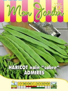 Haricot nain à filet Admires (gousses plates)