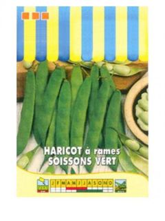 Haricot à rames à écosser Soissons vert - Phaseolus vulgaris