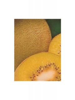 Kiwi chinensis Golden Delight (mâle) - Actinidia chinensis