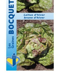 Laitue Brune d'Hiver