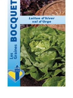 Laitue d'Hiver Val d'Orge
