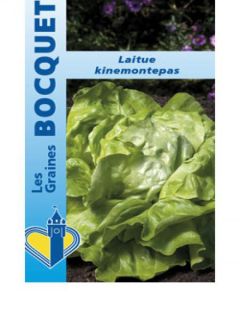 Laitue Batavia Kinemontepas