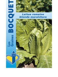 Laitue Romaine Blonde maraîchère