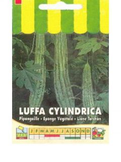 Luffa, éponge végétale, loofah, liane torchon