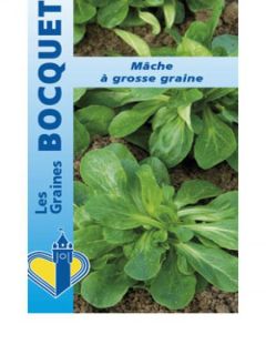 Mâche à Grosse Graine - Vilmorin