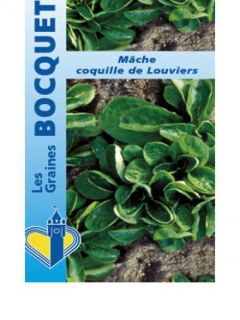 Mâche Coquille de Louviers
