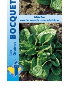 Mâche Ronde Maraîchère