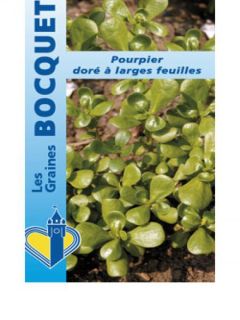 Pourpier doré à large feuille - Vilmorin