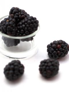 Mûrier Jumbo - Rubus fruticosus