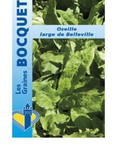 Oseille Large De Belleville Bio - Rumex acetosa