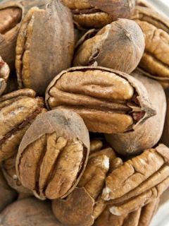 Carya illinoinensis Choctaw - Noix de Pécan - Pacanier