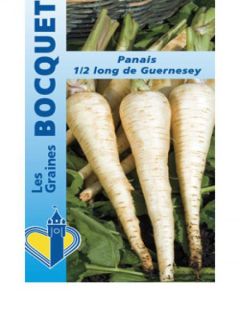 Panais 'Demi-long de Guernesey'