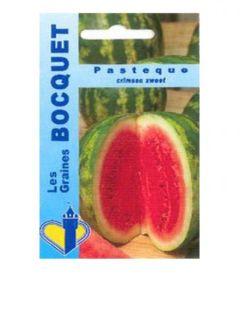 Pastèque Crimson Sweet - Citrullus lanatus