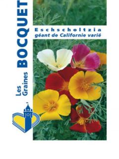Graines de Pavot de Californie Monarch Mixed - Eschscholzia californica