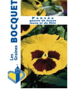 Viola Retombante Jaune d'Or