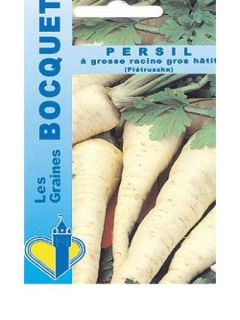 Persil à Grosse Racine Gros Hâtif Bio - Ferme de Sainte Marthe