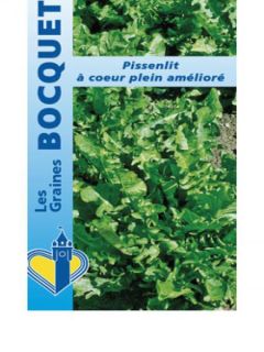 Pissenlit amélioré à Coeur Plein