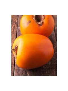 Plaqueminier, Kaki 'Fuyu'