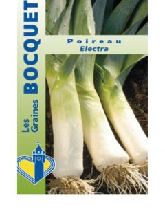 Poireau 'Electra'