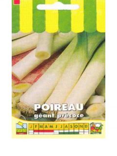 Poireau Géant Précoce - Allium porrum