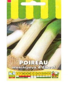 Poireau 'Monstrueux d'Elbeuf'