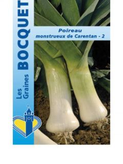 Poireau Monstrueux de Carentan Bio - Allium porrum   