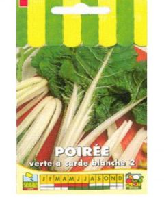 Poirée verte à Carde Blanche - Blette - Beta vulgaris