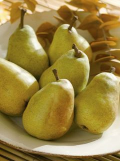 Poirier 'Fertilia Delbard'