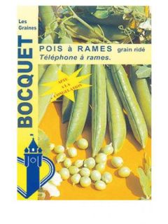 Pois à rames 'Téléphone'