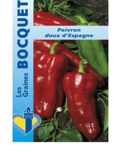 Poivron 'Doux d'Espagne'