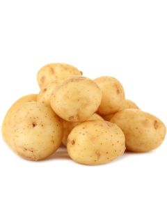 Pommes de terre Agata - Solanum tuberosum