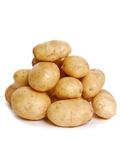Pommes de terre Belle de Fontenay - Solanum tuberosum