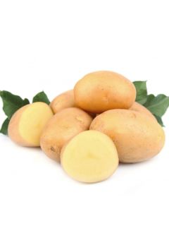 Pommes de terre Bintje - Sac de 25 plants