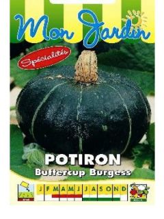 Potiron 'Buttercup Burgess'