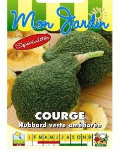 Potiron 'Green Hubbard'