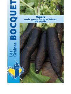 Radis noir 'Gros long d'hiver de Paris'