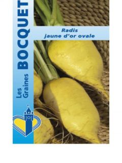 Radis  'Rave jaune d'or ovale'