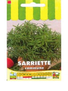 Sarriette commune