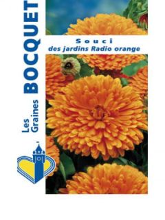 Souci des jardins 'Radio Orange'