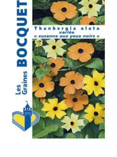 Suzanne aux yeux noirs