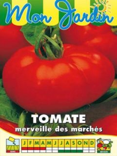 Tomate Merveille des Marchés