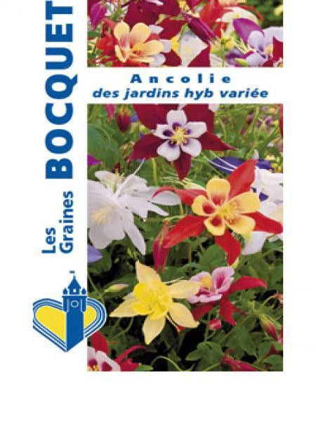 Ancolie des jardins en mélange