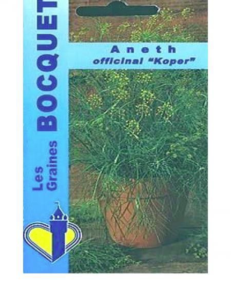 Aneth Officinal 'Koper'