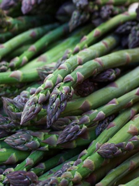 Asperge verte 'Blacklim'