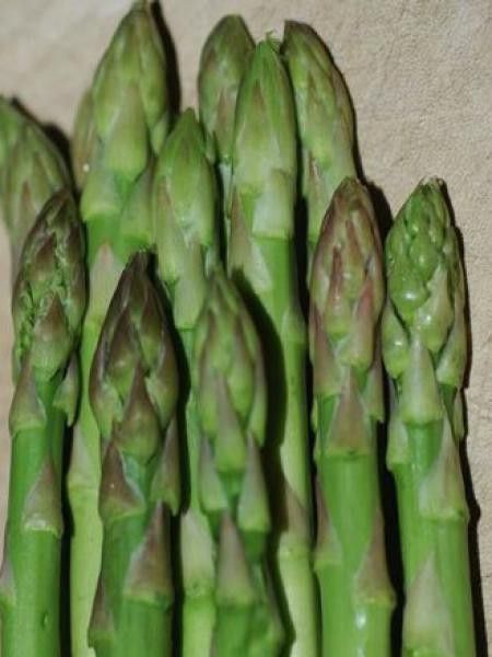 Asperge verte 'Gijnliim'