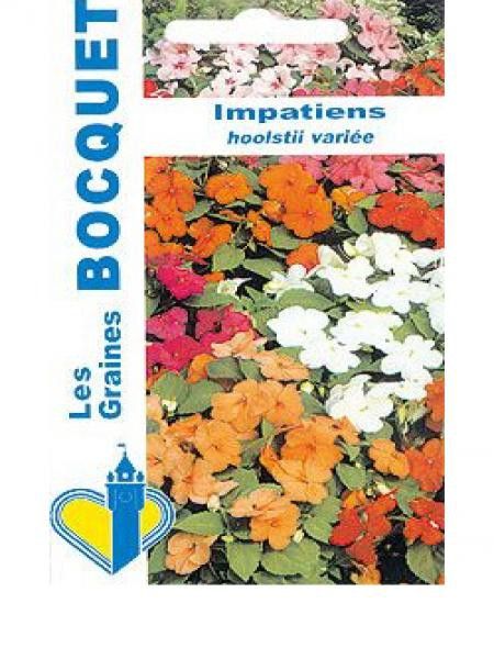 Balsamine, Impatience 'Hooltii' en mélange